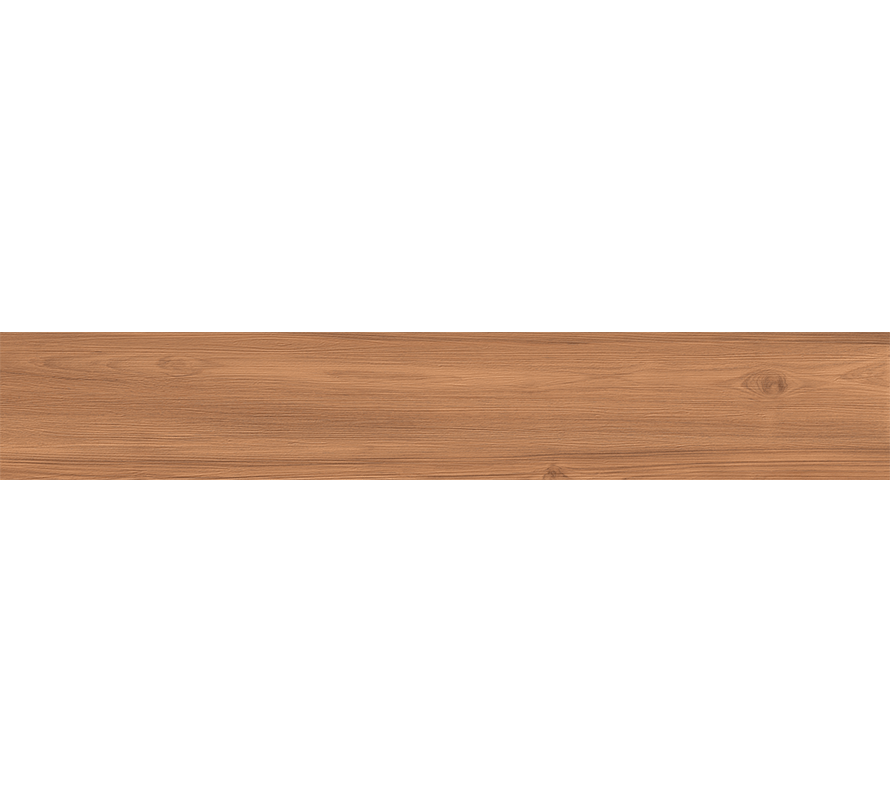 Brown Spruce
