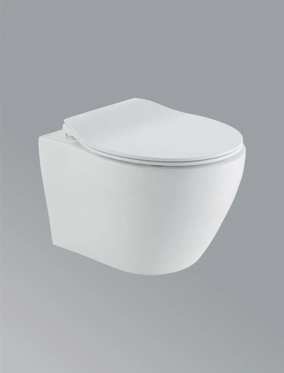 Alla Moda Wall-Hung Toilet