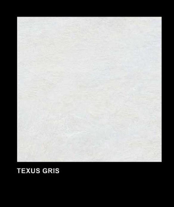 Texus Gris